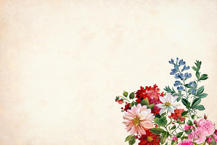 fiore, floreale, sfondo, confine, cornice del giardino, Vintage ▾, carta, arte, nozze, design, fatto a mano