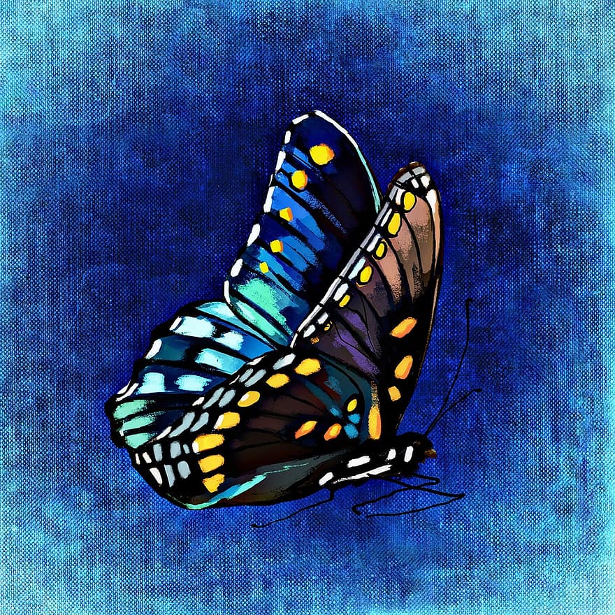 mariposa, vistoso, insecto, ala, animal, color, resumen, fondo