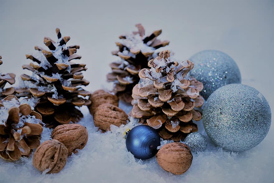 pinjekegler, ornamenter, jul, julepynt, dekoration, vinter, sæson, tæt på, sne, fest, jul ornament