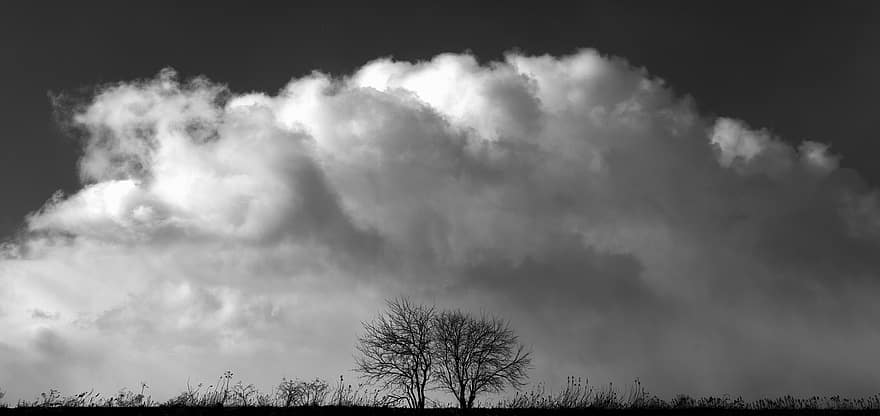 Meadow, Clouds, Nature, Black And White, Sky, Field, Grass, Trees, Landscape, cloud, weather