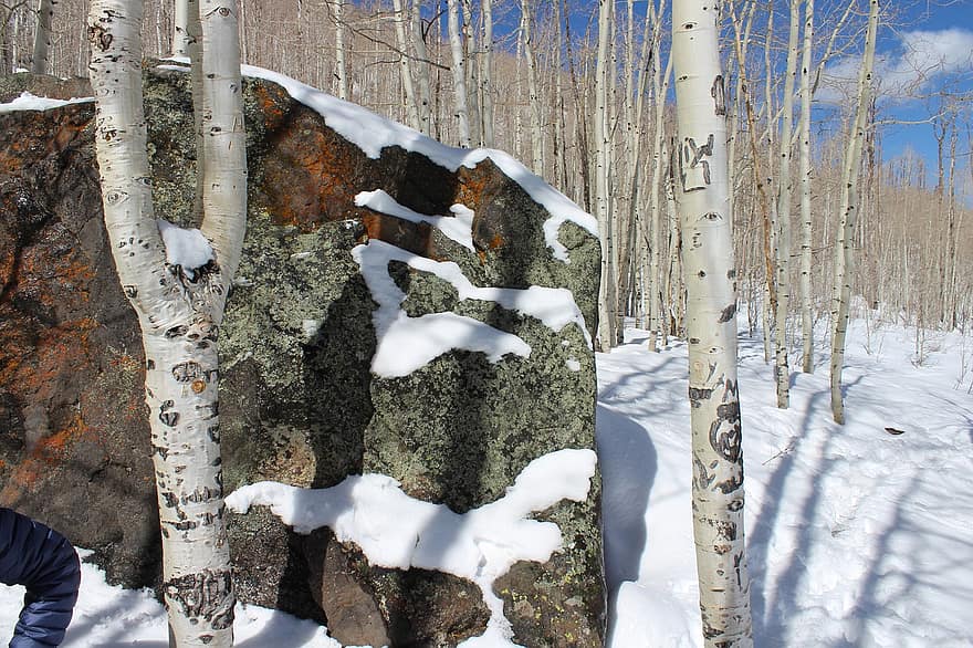 камень, природа, зима, деревья, гора, натуральный, сценический, снег, замороженный, пейзаж