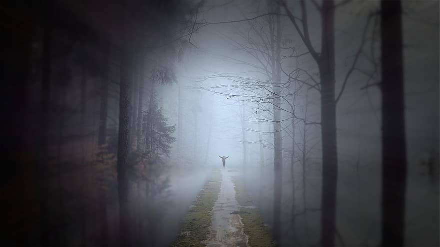 Fantazja, marzenie, las, mistyczny, mgła, nastrój, światło, blask, świecący, tajemniczy, magia