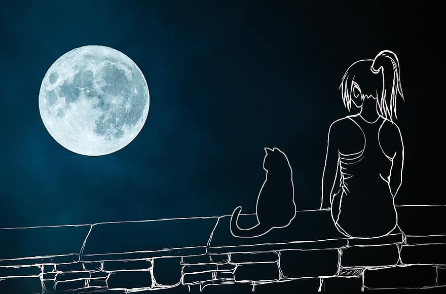 девушка, кошка, Луна, стена, меланхолия, печальный, в одиночестве, романтик, прекрасный, свет, ночь
