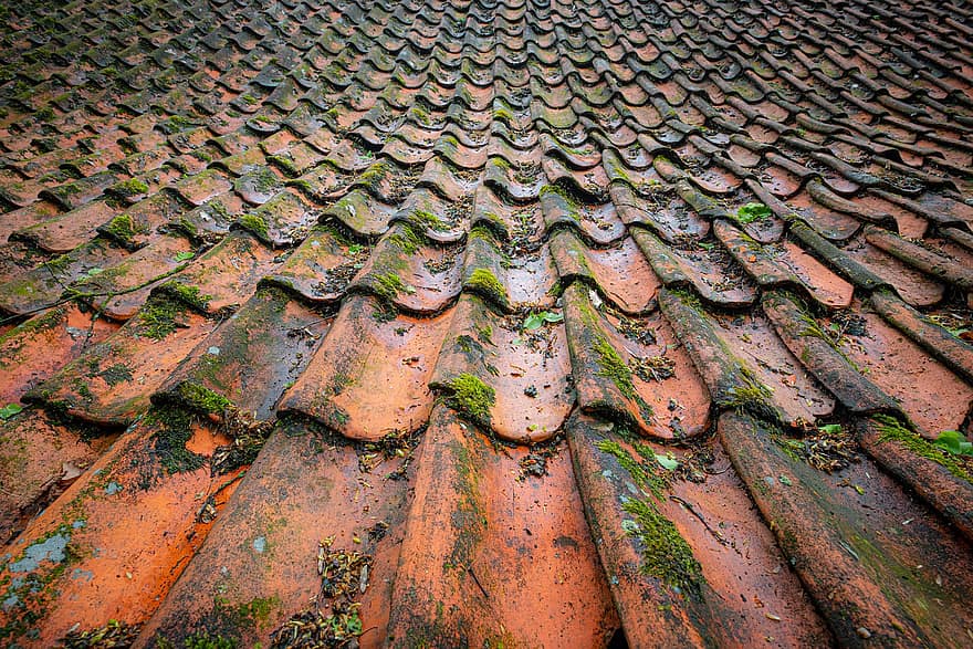 Roof Tiling, Aged, Old, Vintage, Roof, Roof Tiles, Tiles, Mossy, Moss, House, Roofing