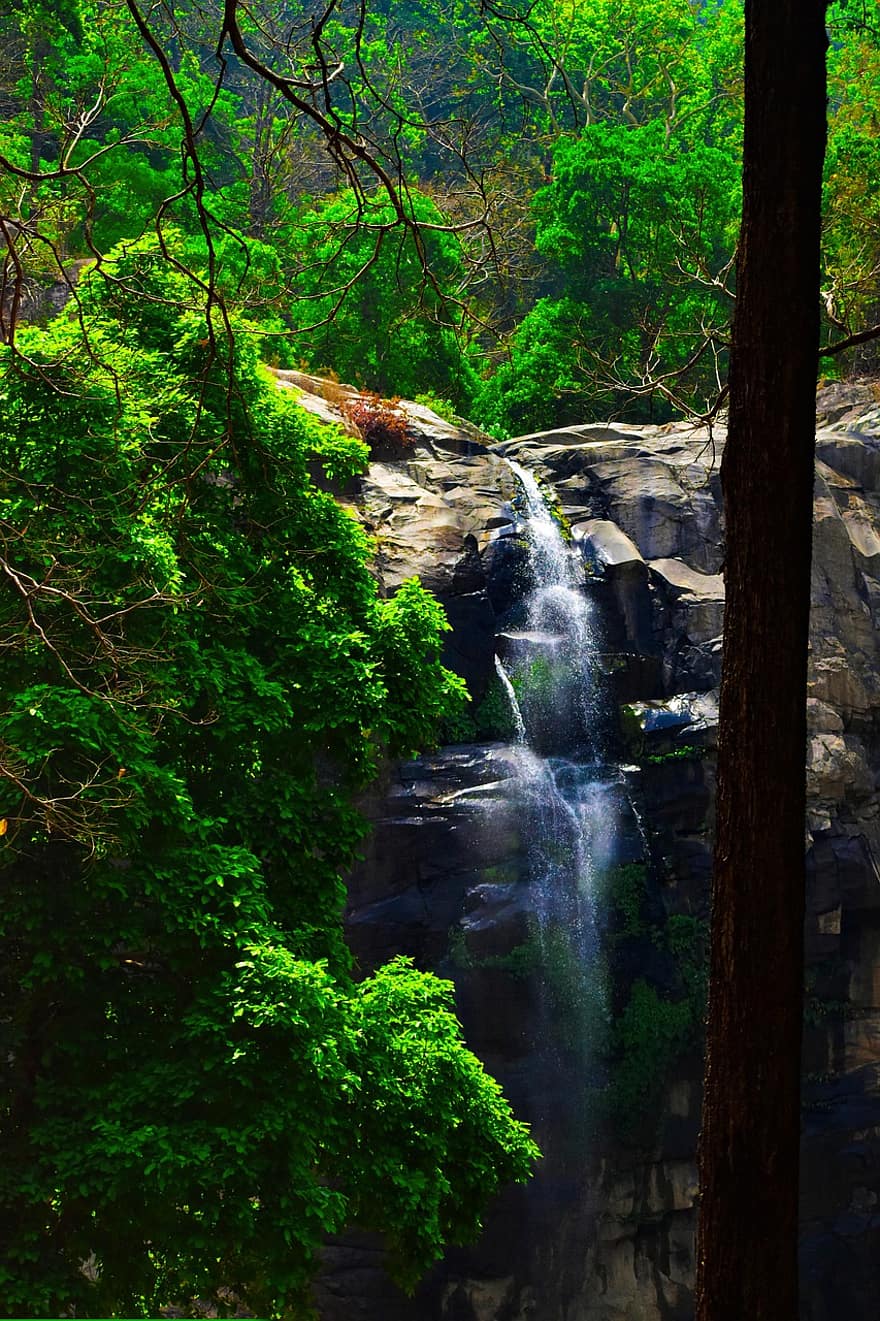 wodospad, las, Natura, drzewa, drzewo, zielony kolor, woda, krajobraz, liść, płynący, skała