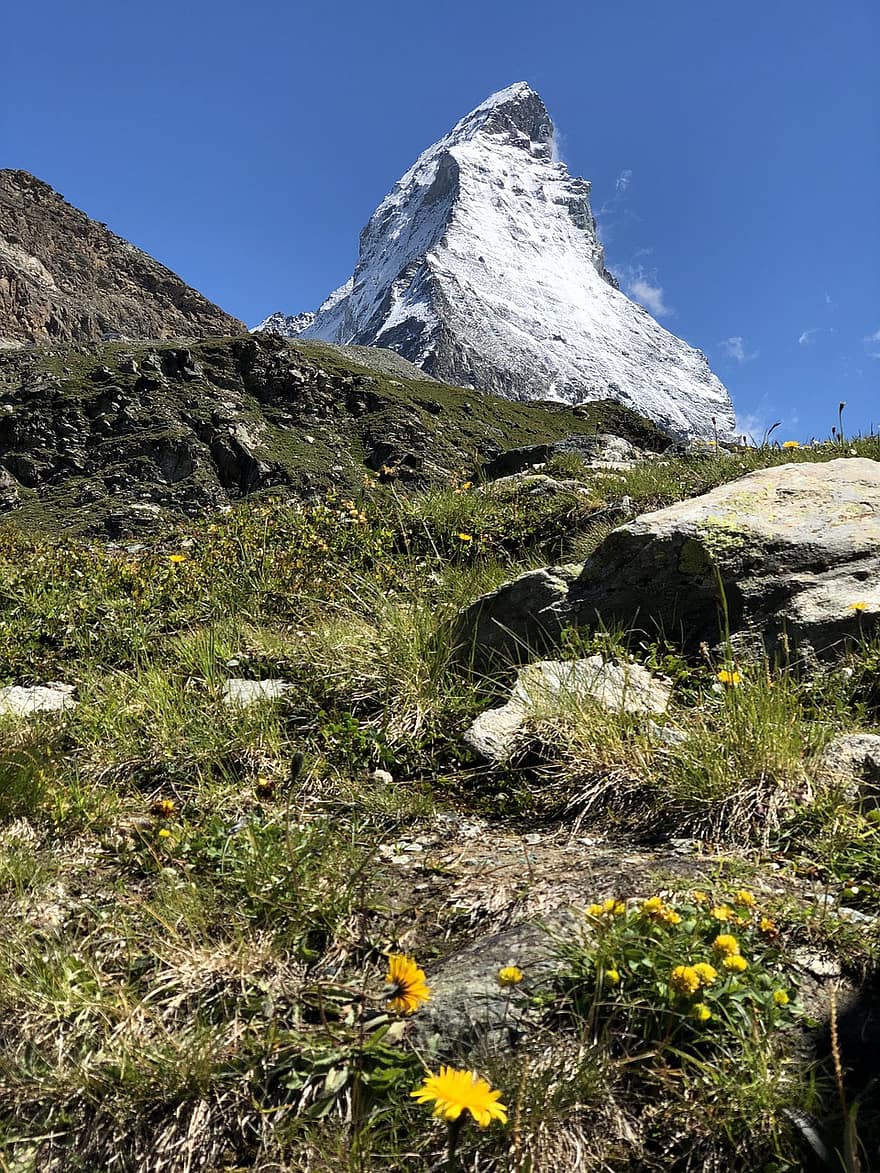 Matterhorn, Szwajcaria, Góra, łąka, zermatt, Natura, szczyt górski, trawa, krajobraz, lato, śnieg