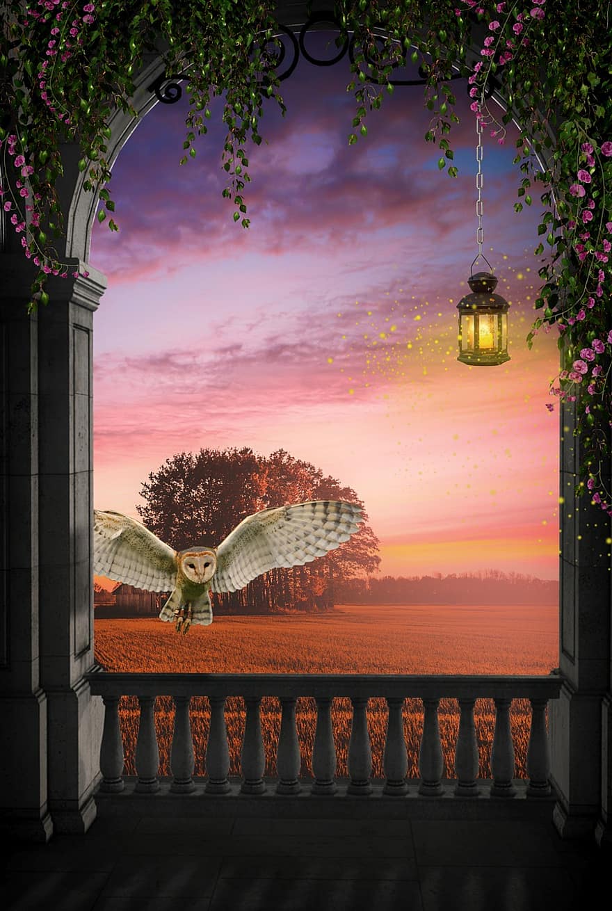 Owl, View, Balcony, Old, Romantic, Sunset, Atmosphere, Romance, Church Owl, Brand, Sun