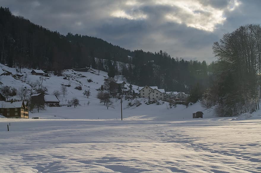 Zwitserland, winter, stad-, natuur, sneeuw, berg-, landschap, Bos, boom, seizoen, ijs-