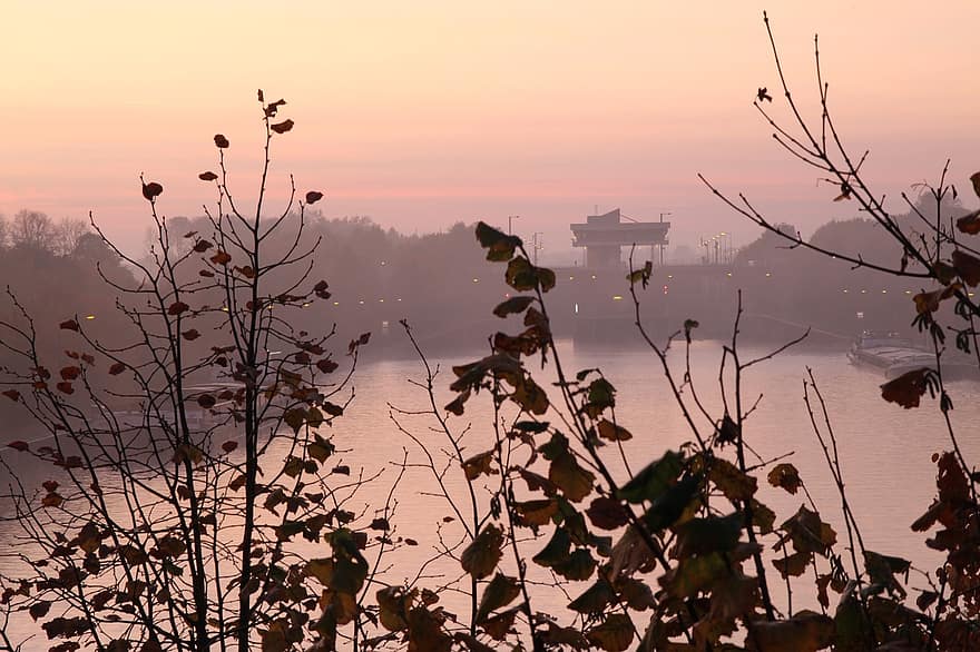 Rhine-herne Canal, Fog, Sunrise, Leaves, Plant, Canal, Mood, Herne, Ruhr Area, Waterway, Shipping Route