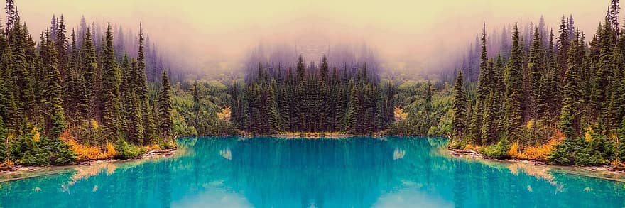 озеро, деревья, лес, берег, природа, Посмотреть, туман, холмы, панорама, дерево, пейзаж