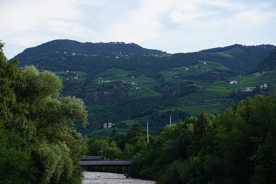 montagna, alberi, foresta, colline, Alpi, valle, paesaggio, natura, bolzano, Italia, Austria