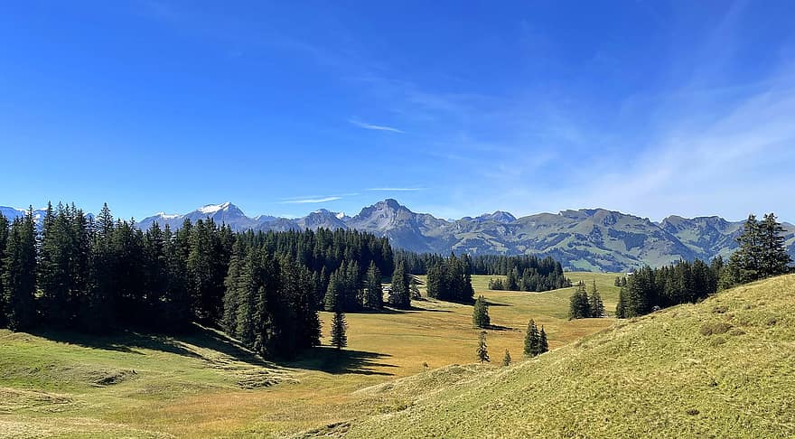 naturalesa, viatjar, exploració, a l'aire lliure, Oberland, muntanyes, muntanya, herba, prat, estiu, paisatge