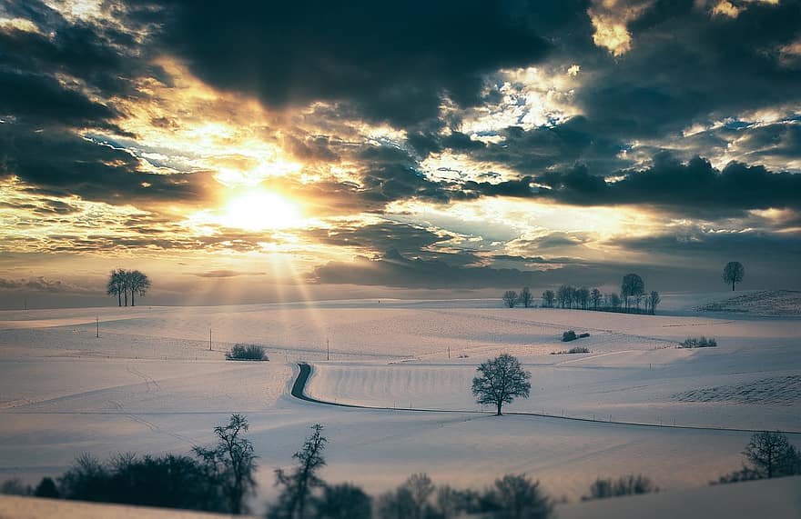 Trees, Road, Valley, Field, Snow, Ice, Frost, Wintry, Sunset, Winter