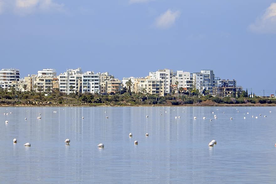 des oiseaux, Lac, flamants roses, zone humide, Larnaca, Chypre, bleu, eau, été, littoral, architecture