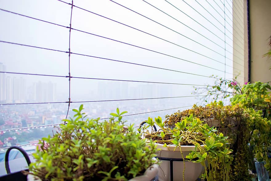 piante, vasi di piante, balcone, piante d'appartamento, Rete di sicurezza dell'appartamento, Rete di sicurezza per balconi, piante in vaso, decorativo, appartamento, urbano