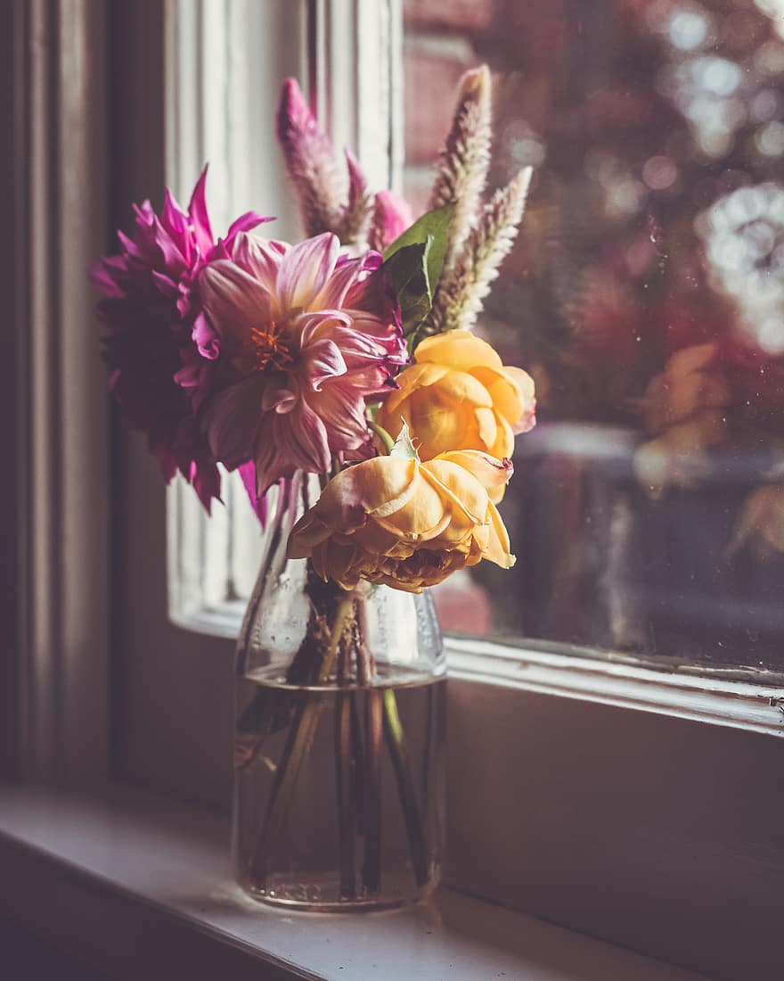 květ, váza, okno, rostlina, sklenka, čerstvý, pokoj, místnost, interiér, dekorace, během dne, květináč