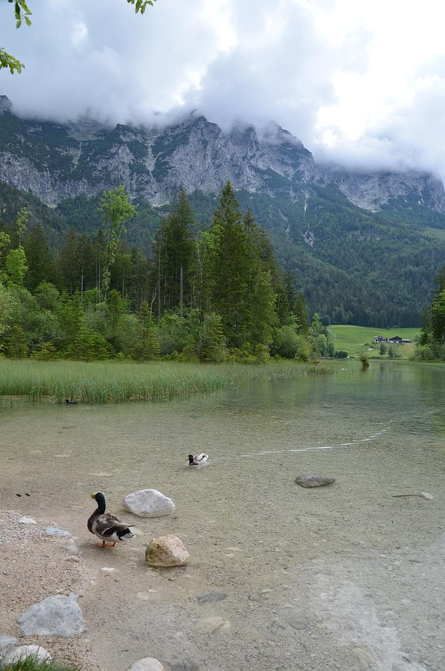 hintersee, ramsau, berchtesgaden, bavaria, alpine, danau, alam, gunung, pemandangan, panorama, bergsee