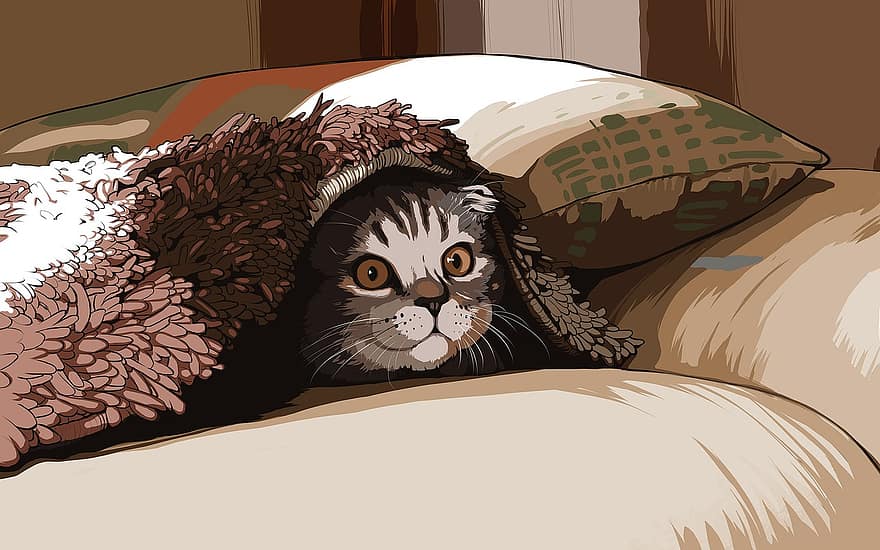 кошка, котенок, милый, домашнее животное, покрывало на кровать, милая, Китти, маленький, животное, коричневый кот