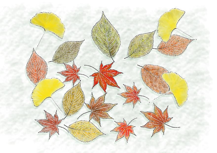 herfst, gevallen bladeren
