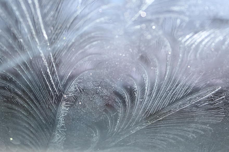 Hardest, Winter, Cold, Frost, Eiskristalle, Iced, Winter Magic, Glass, Structure
