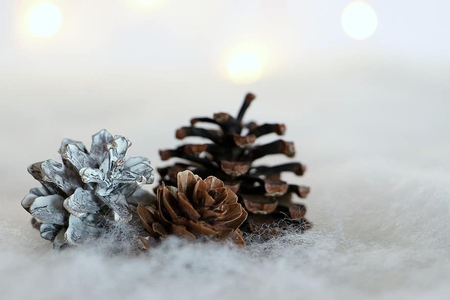 pinjekegler, sne, dekoration, dekorative, jul, vinter, vinterlige