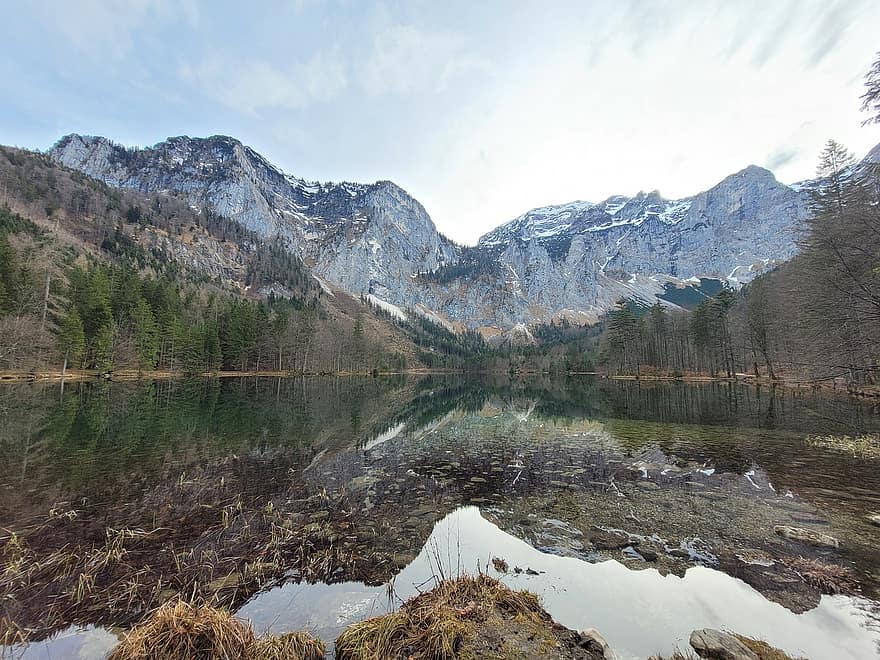 langbathseen, lac, Austria, natură, pădure, copaci, munţi, iarnă, Munte, peisaj, apă