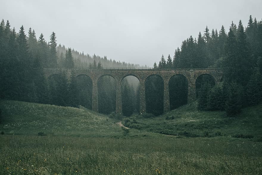 мост, Телгарт, Словакия, железопътна линия, път, ретро, природа, гора, дървета, Орава, мъглив