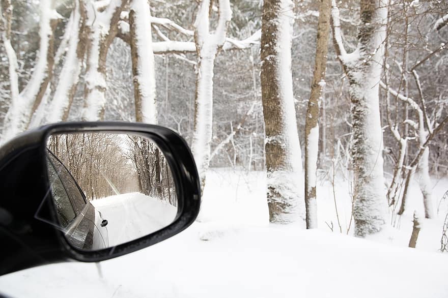 огледало, път, природа, пътуване, зима, сезон, на открито, кола, шофиране, гора, сняг