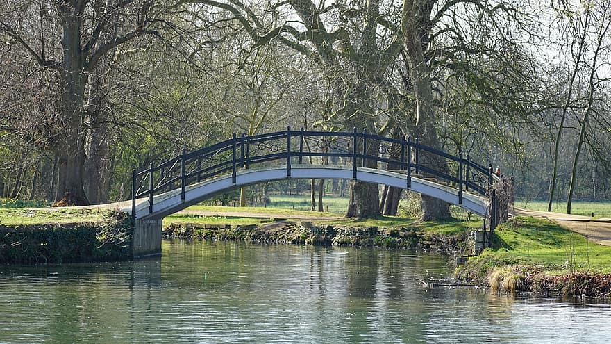 мост, парк, река, оксфордский, природа, воды, дерево, лес, пейзаж, трава, тропинка