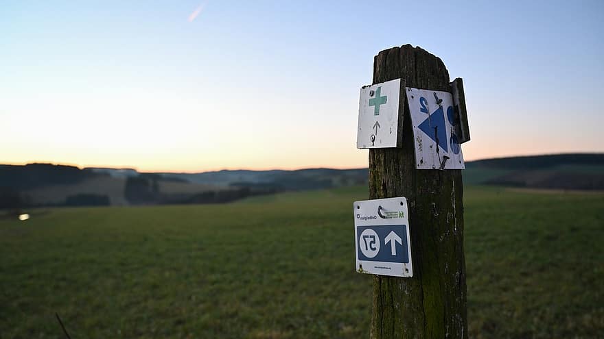 道標、符号、ハイキング、自然、矢印、方向、東ベルギー、草、田園風景、木、夏
