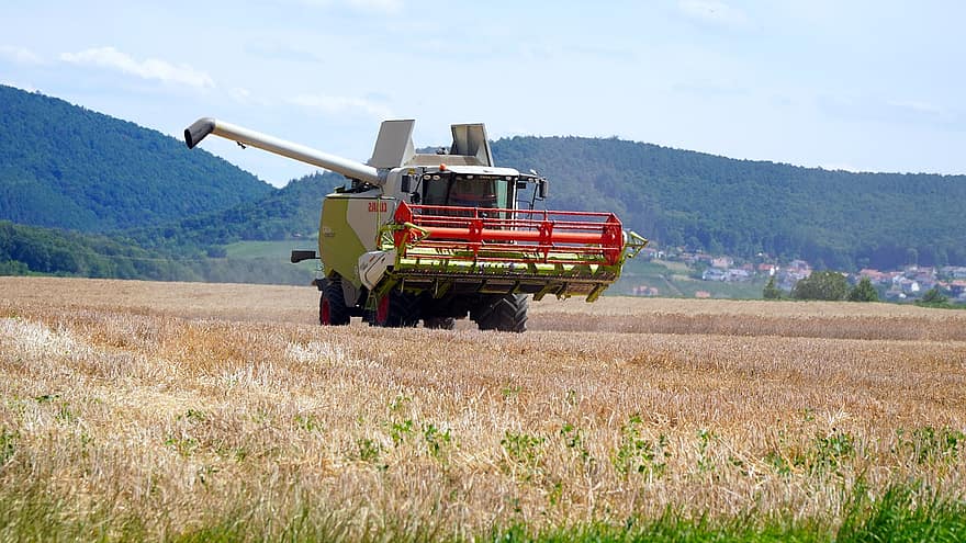 Combine Harvester, Grain Harvest, Agricultural Machine, Agriculture, Field, Cereals, Harvesting, Cornfield