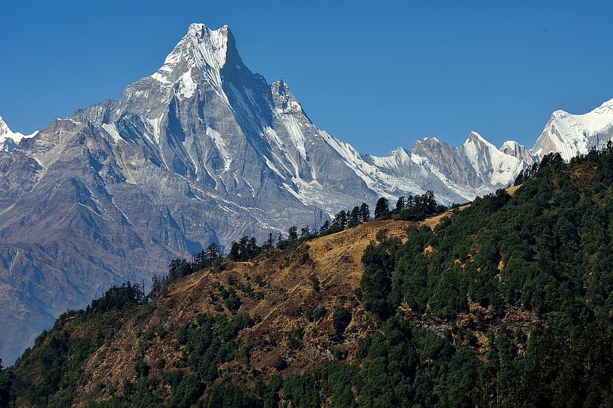 पहाड़ों, शिखर सम्मेलन, परिदृश्य, पेड़, वन, शिखर, बर्फ छाया हुआ, पर्वत श्रखला, सुंदर, प्रकृति, हिमालय