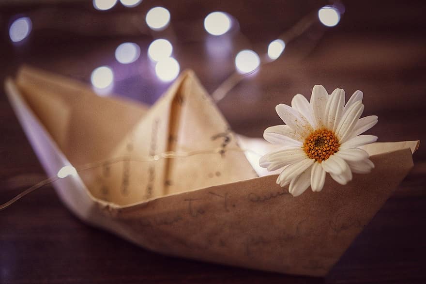 valtis, gėlė, menas, amatų, žiedas, žiedlapių, popieriaus, Daisy, laivas, Iš arti, vasara