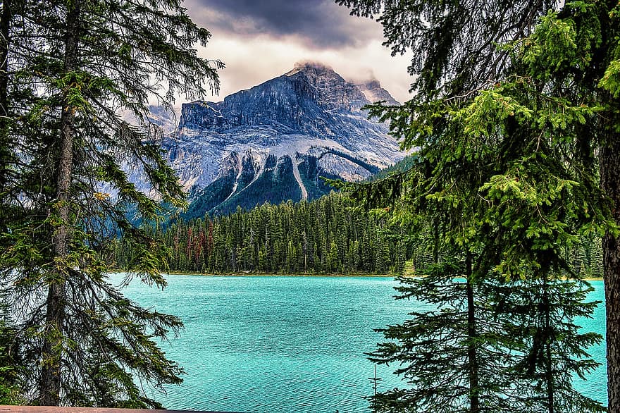 smaragda ezers, kalni, mežs, ezers, koki, ūdens, raksturs, banff, kalns, ainavu, koks