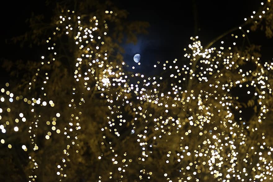 Noel ışıkları, gece, Noel, Noel zamanı, Bayram sezonum, romanya, Bayram