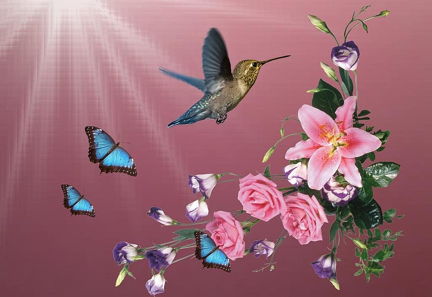 beija flor, kolibri, putni, ziedi, gaisma, raksturs, dekoratīvs zieds, lidošana, pavasarī, tauriņi, dārzs