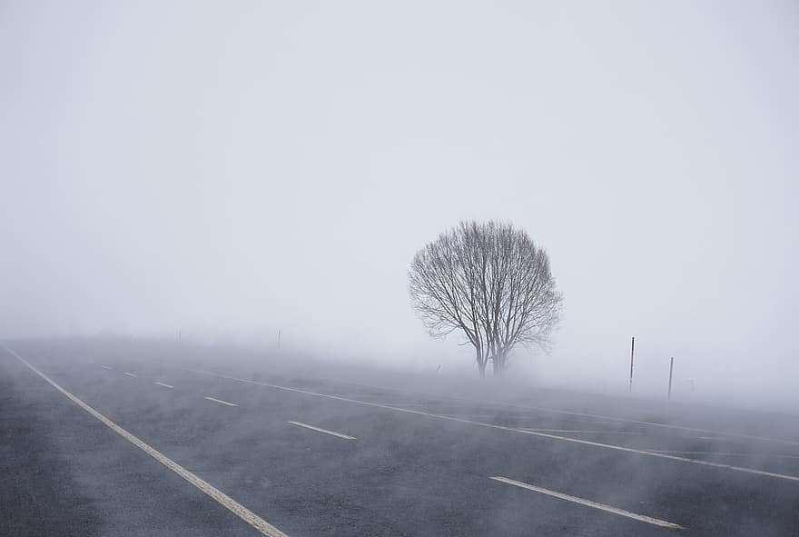 invierno, la carretera, árbol, niebla, al aire libre, calle, transporte, clima, viaje, paisaje, coche
