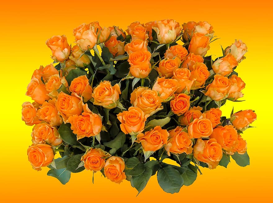 Bouquet, Birthday Bouquet, Flowers, Rose, Strauss, Birthday, Blossom, Bloom, Wedding Bouquet, Bouquet Of Roses, Orange Roses