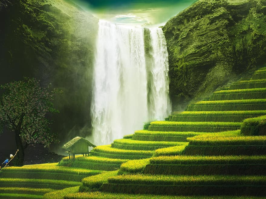 Rice Terraces, Nature, Waterfalls, Steps, Fields, Outdoors, Wet, Water, Fantasy, Environment, Green