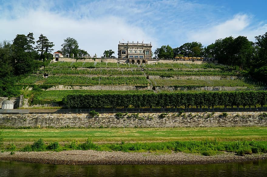 Lingnerschloss, Villa Stockhausen, castillo, Dresde, Alemania, cultivo de vino, arquitectura, agricultura, paisaje, granja, escena rural