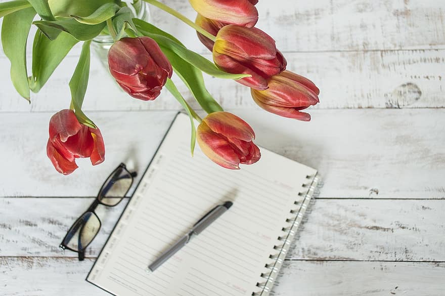 las flores, tulipanes, planificador, cuaderno, organización, lentes, calendario, primavera, botánica, floración, madera