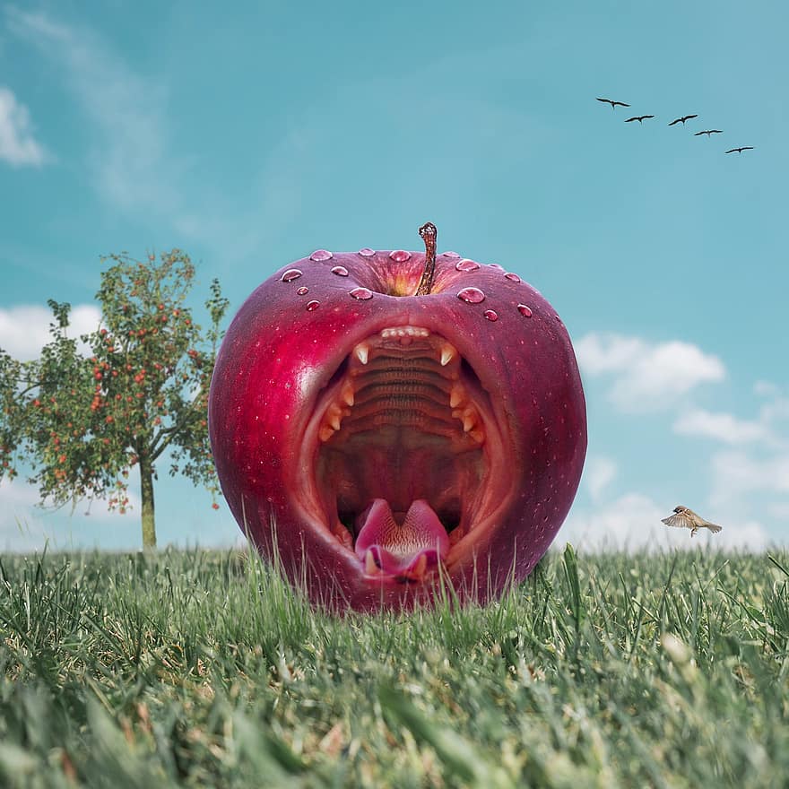 яблуко, фрукти, рот, трави, червоне яблуко, стигле яблуко, поле, трав'янисте поле, зуби, язик, фото маніпуляція