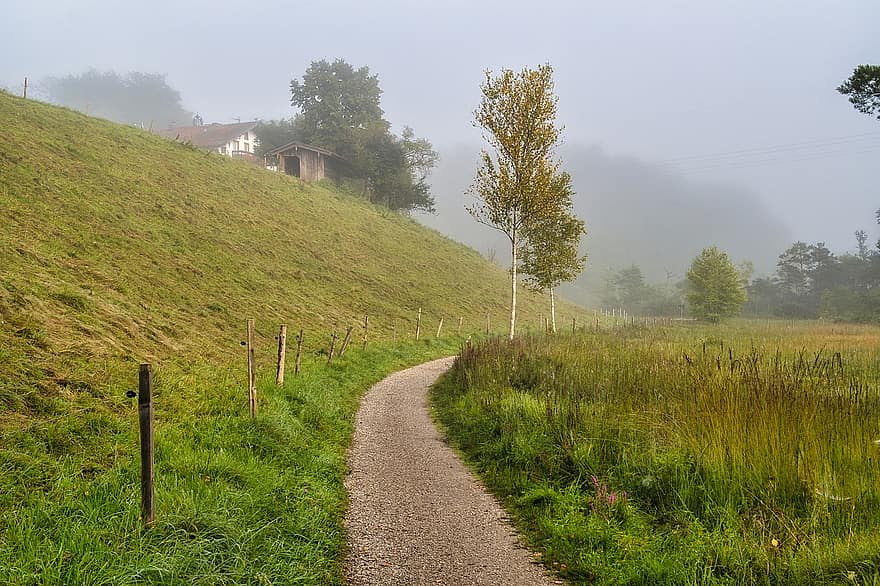 natura, sentiero, campagna, rurale, all'aperto, nebbia, foschia, pista, prato