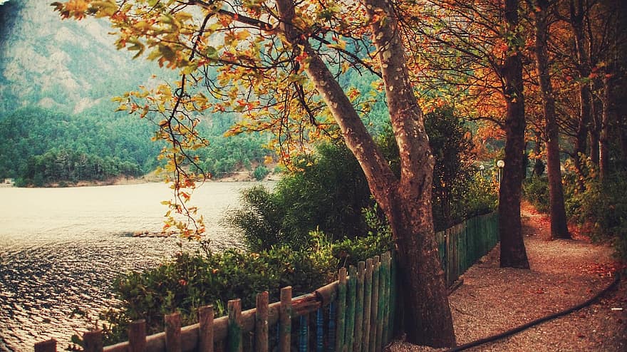 antalya, Curcan, poartă, Gezi, natură, vedere, toamnă, frunze, copac, mers pe jos, drumetii montane