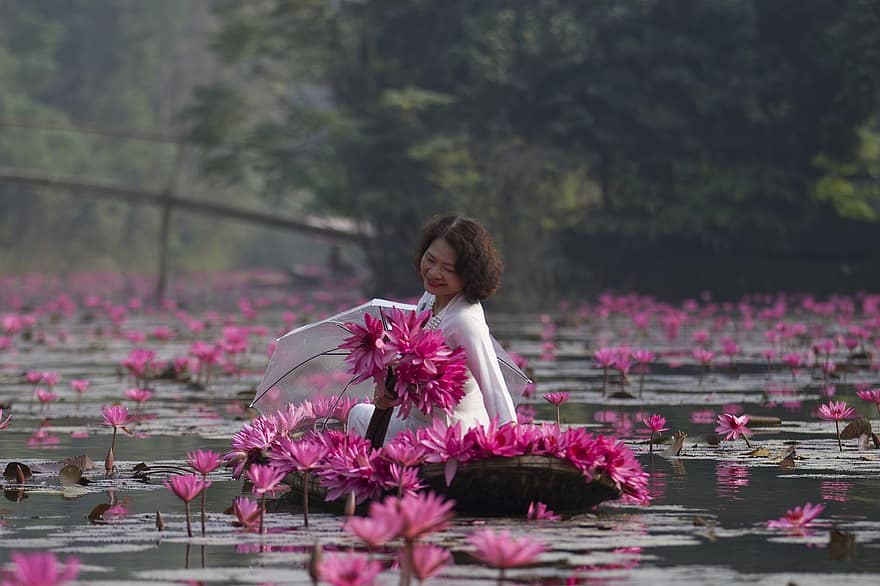 Lotuses, Flowers, Woman, White Dress, Umbrella, Pink Flowers, Lotus Flowers, Lily Pads, Bloom, Blossom, Petals