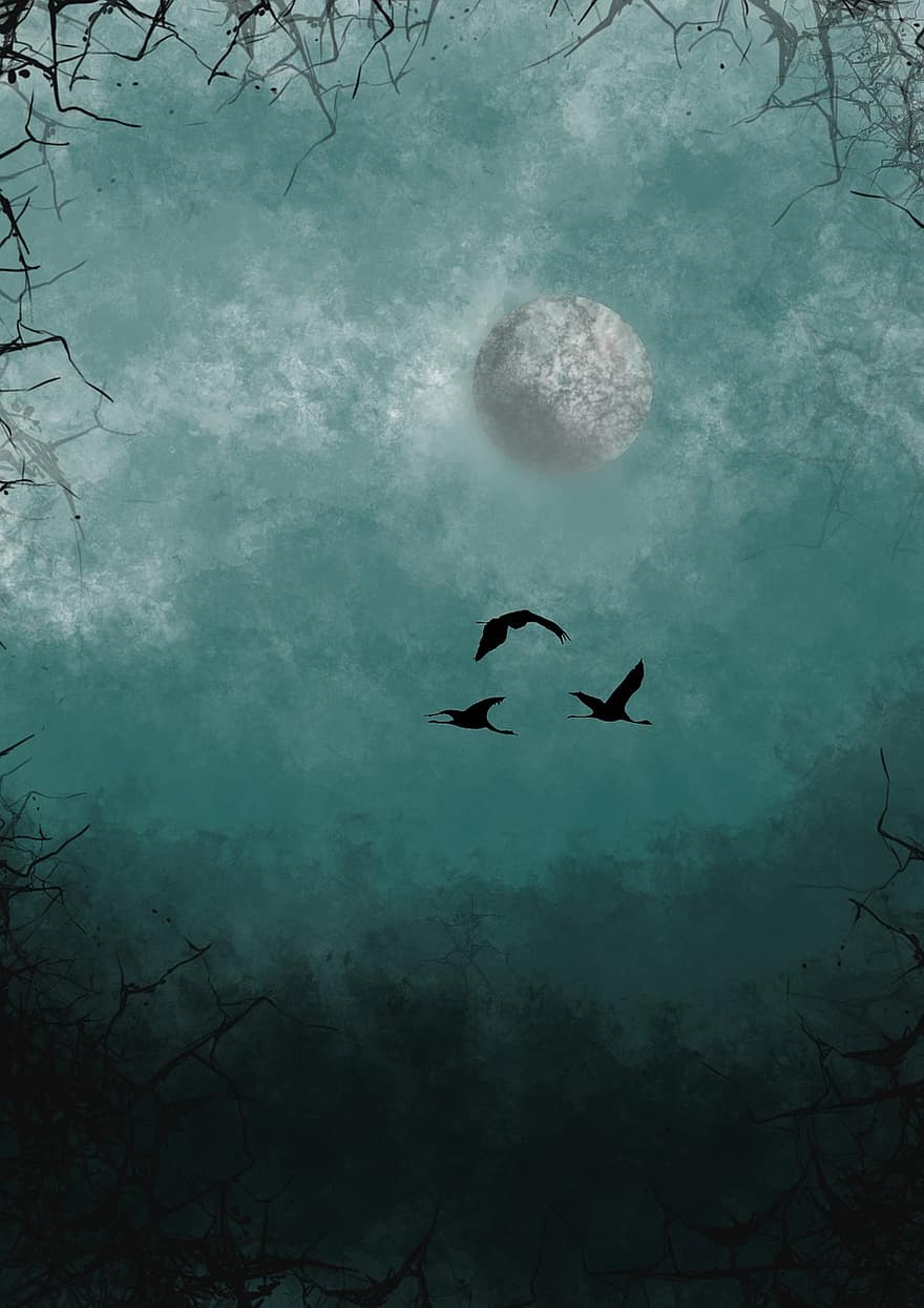птахів, ліс, ніч, летить, туман, місяць, лебеді, дерева, природи, туманний, хмари