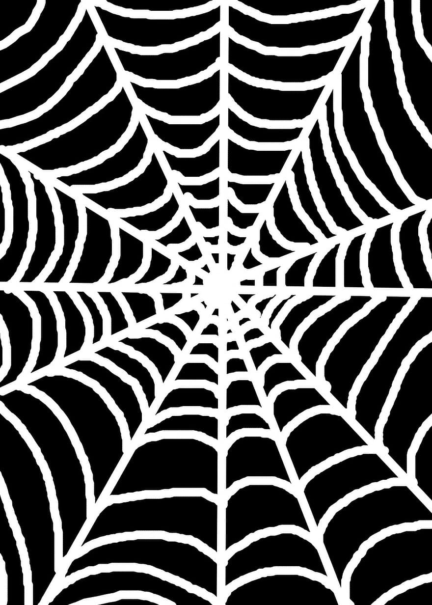 biały, pająk, sieć, czarny, tło, nawiedzany, straszny, halloween