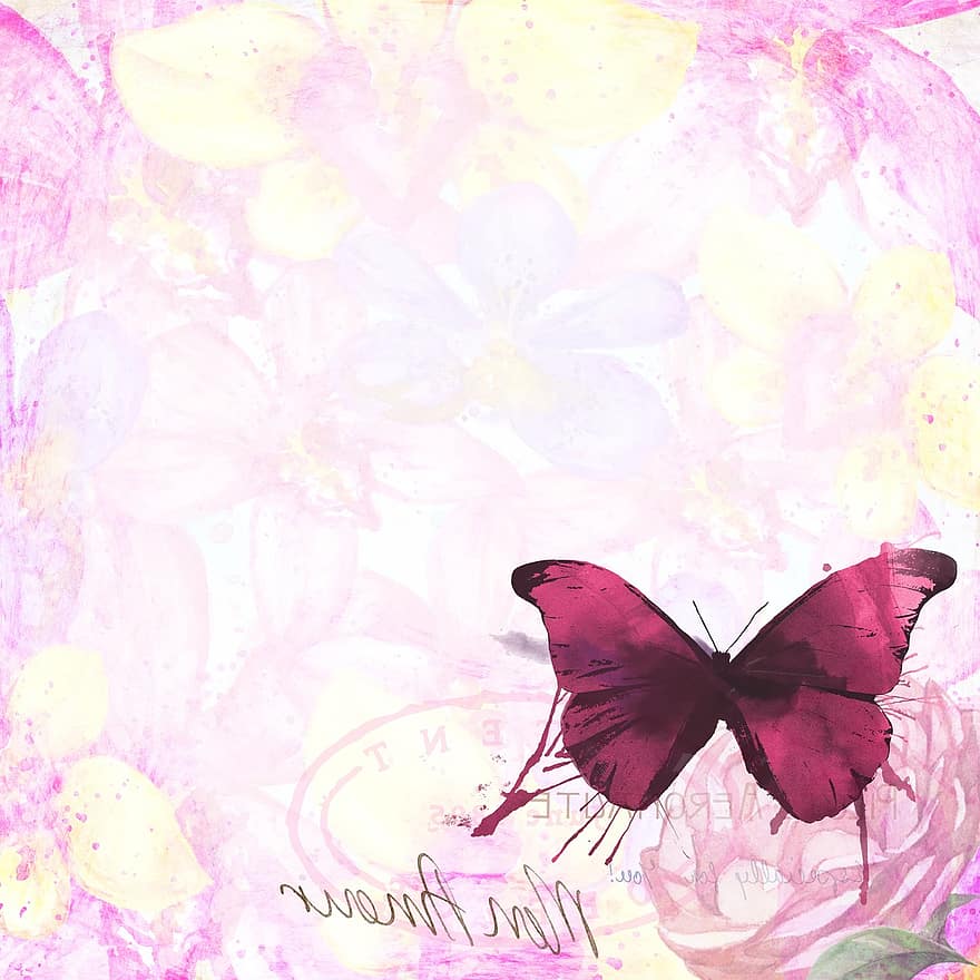 Pink, Butterfly, French, Grunge, Wall