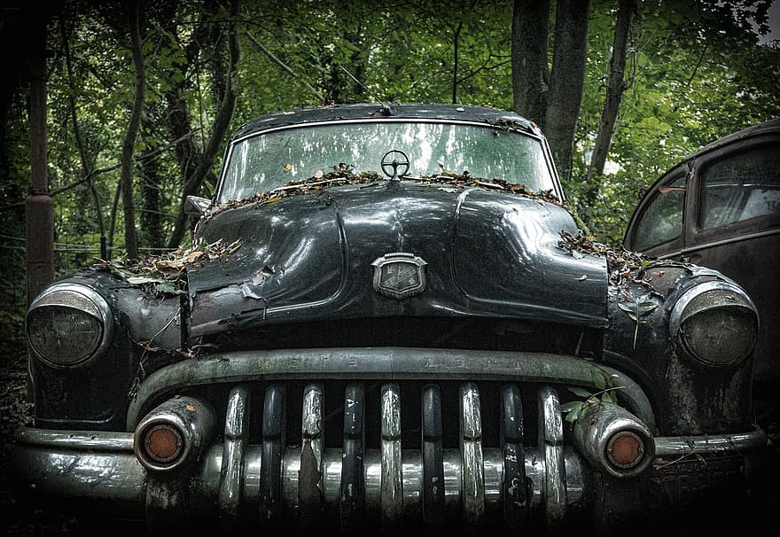 carro abandonado, Carro em ruínas, floresta