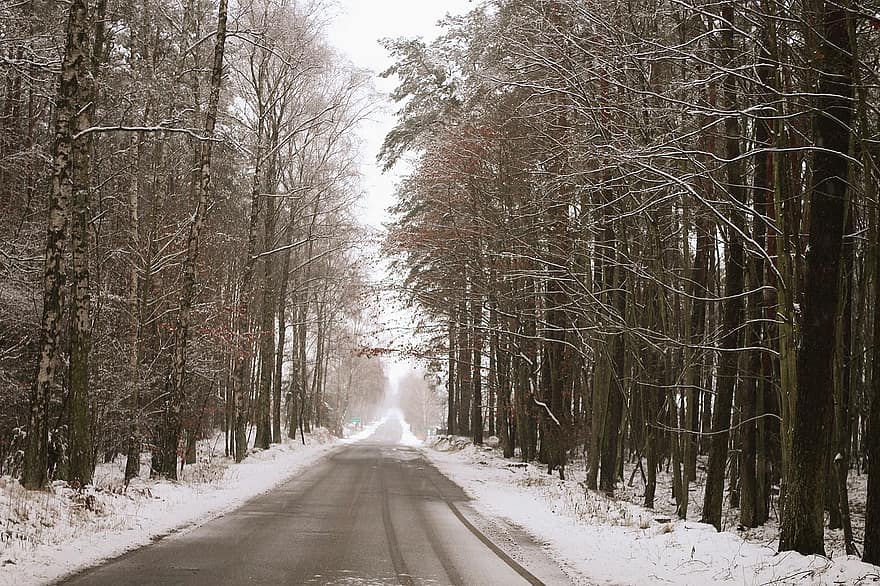 Straße, Schnee, Wald, Bäume, Winter, gefroren, Frost, kalt, winterlich, Pfad, Pflaster